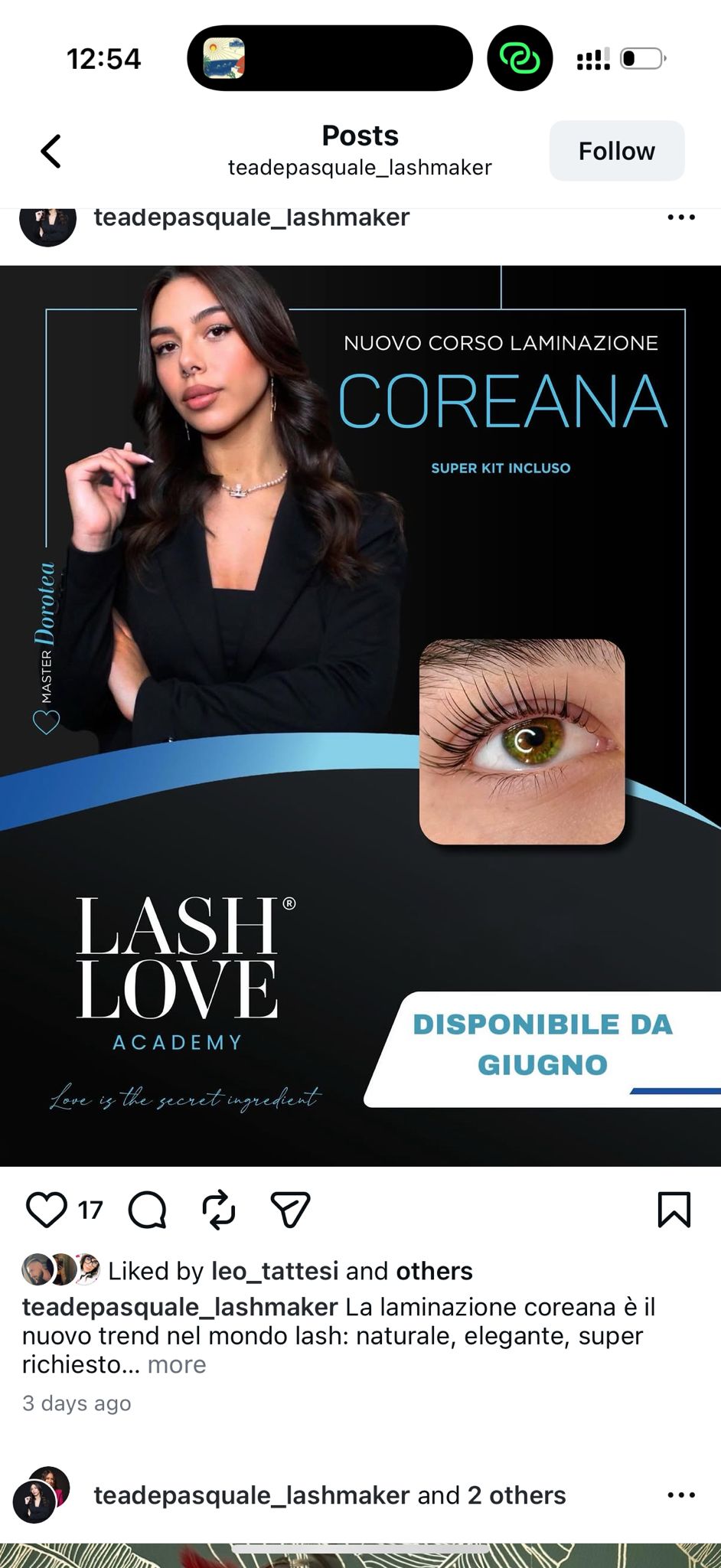 Corso laminazione coreana